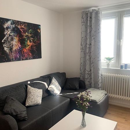 Grosse Moderne Ferienwohnung, Zentrale Ruhige Lage Kassel Exteriör bild