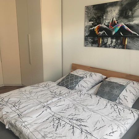 Grosse Moderne Ferienwohnung, Zentrale Ruhige Lage Kassel Exteriör bild