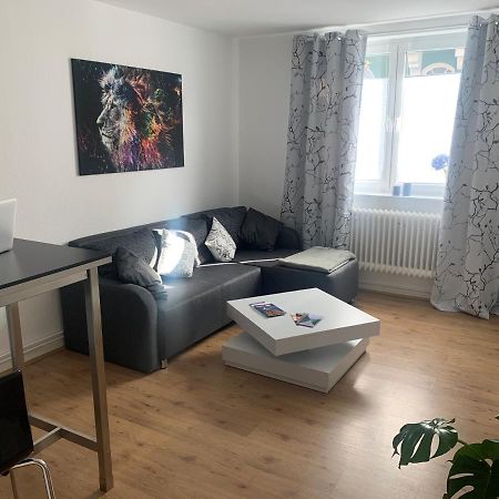 Grosse Moderne Ferienwohnung, Zentrale Ruhige Lage Kassel Exteriör bild