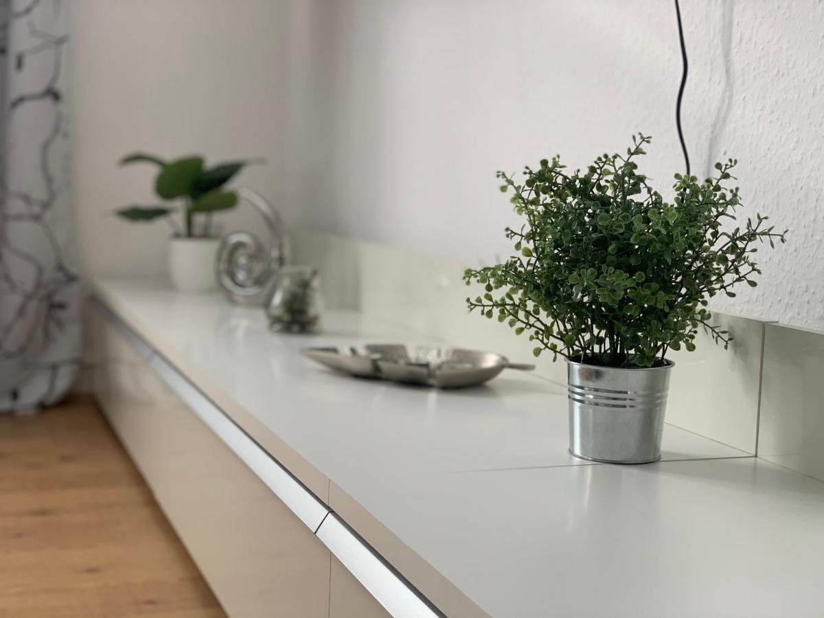 Grosse Moderne Ferienwohnung, Zentrale Ruhige Lage Kassel Exteriör bild